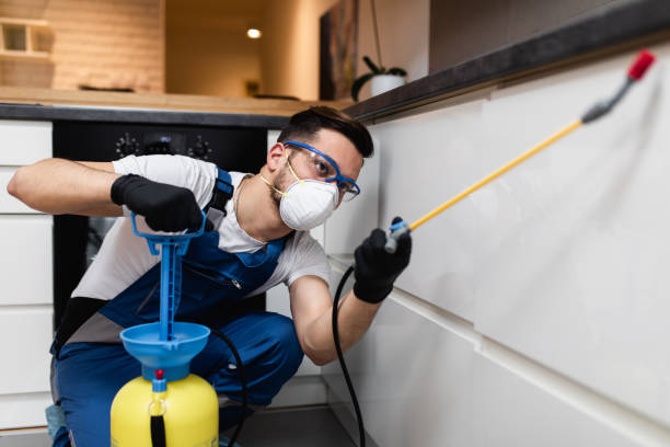 Best Pest Removal Services  in Santa Nella, CA