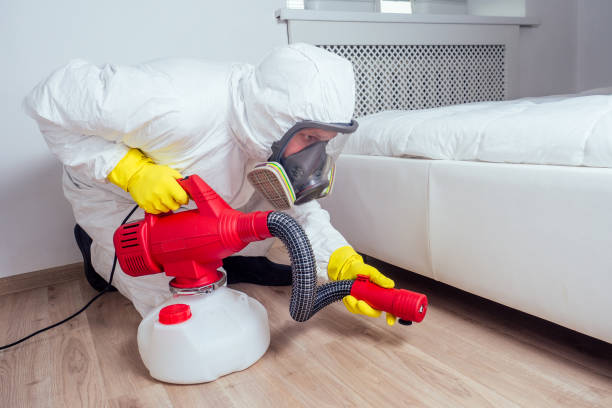 Best Flea Control Services  in Santa Nella, CA