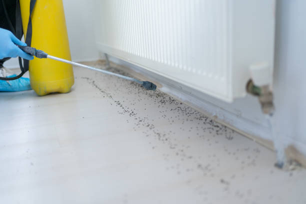 Best Residential Pest Control  in Santa Nella, CA