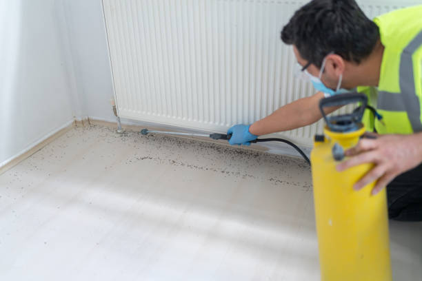 Best Affordable Pest Control Services  in Santa Nella, CA