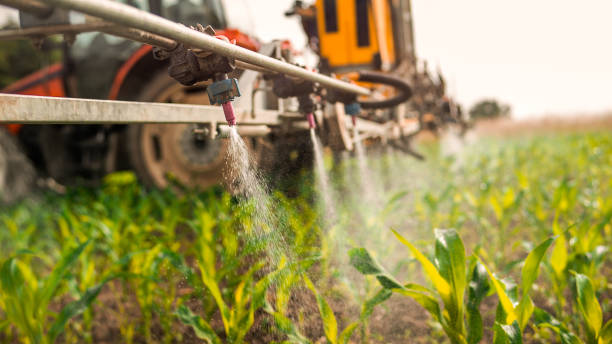 Best Commercial Pest Control Services  in Santa Nella, CA